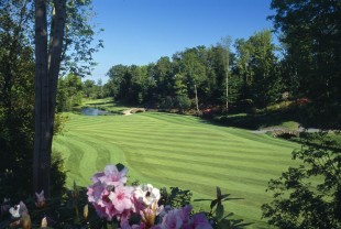 Druids Glen Golf