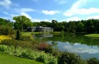 Fota Island