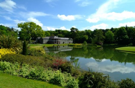 Fota Island