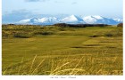 Prestwick Golf