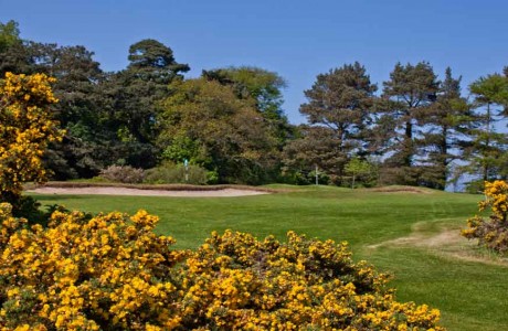 Royal Belfast Golf Club