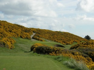 Royal Dornoch