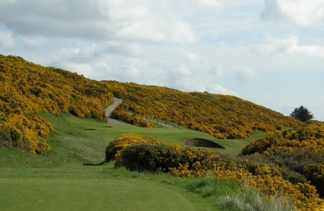 Royal Dornoch