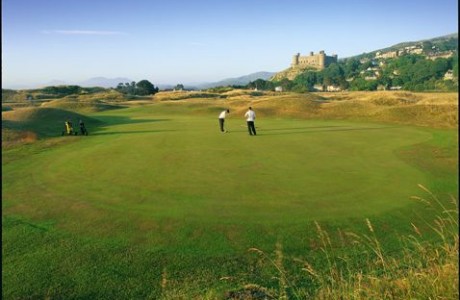 Royal St. Davids