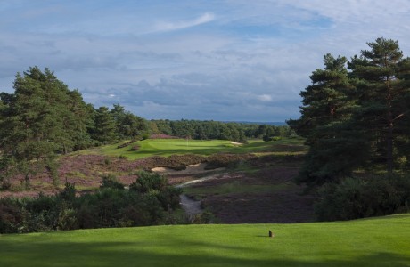 Sunningdale New Golf Club