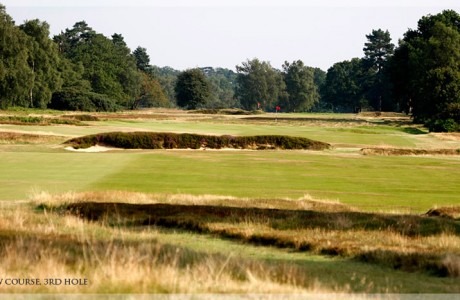 Walton Heath New Course