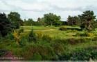 Walton Heath Old Course